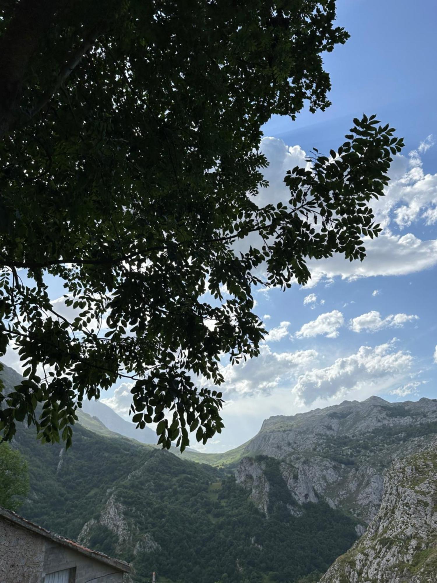 Albergue Pena Castil Sotres Exterior foto